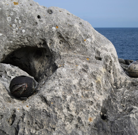 Whispering Globes from the Salento Series