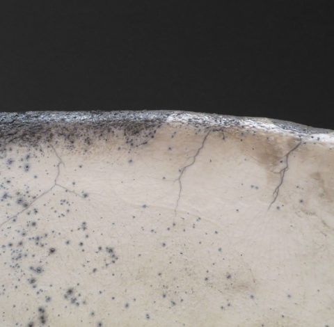 Cup Coral Bowl (Edge) - Ildikó Károlyi