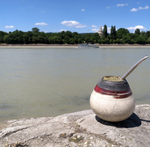 Copper Touch at the Danube - Ildikó Károlyi